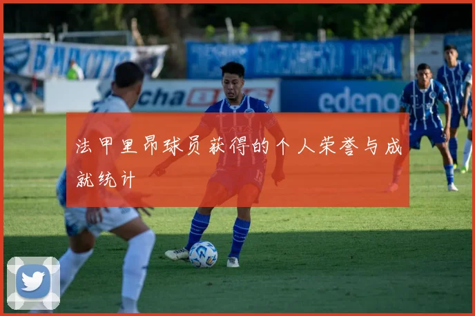 法甲里昂球员获得的个人荣誉与成就统计