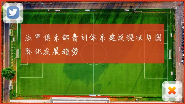 法甲俱乐部青训体系建设现状与国际化发展趋势