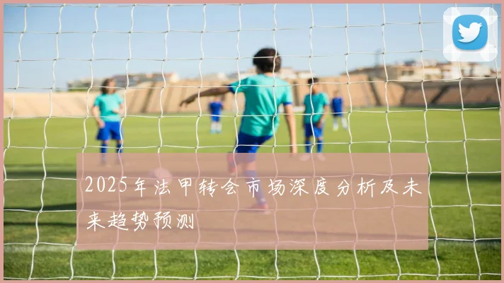 2025年法甲转会市场深度分析及未来趋势预测