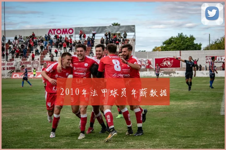 2010年法甲球员年薪数据