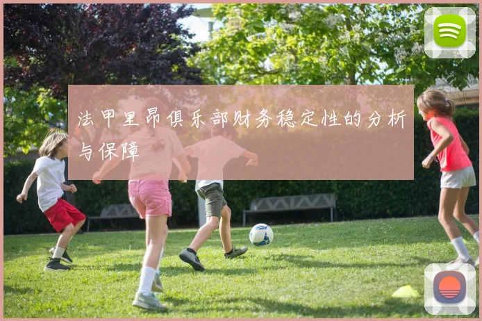 法甲里昂俱乐部财务稳定性的分析与保障