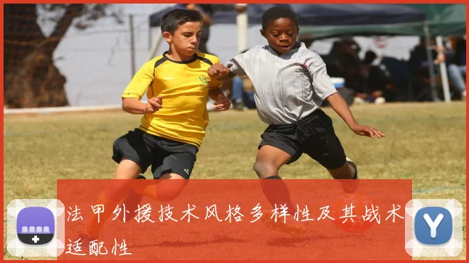 法甲外援技术风格多样性及其战术适配性
