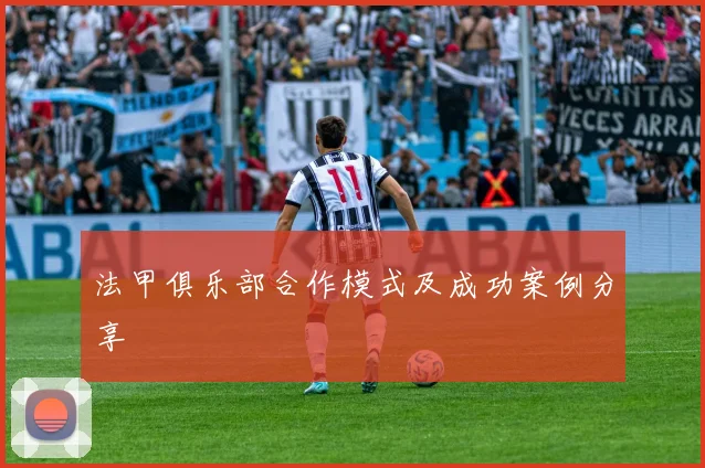 法甲俱乐部合作模式及成功案例分享