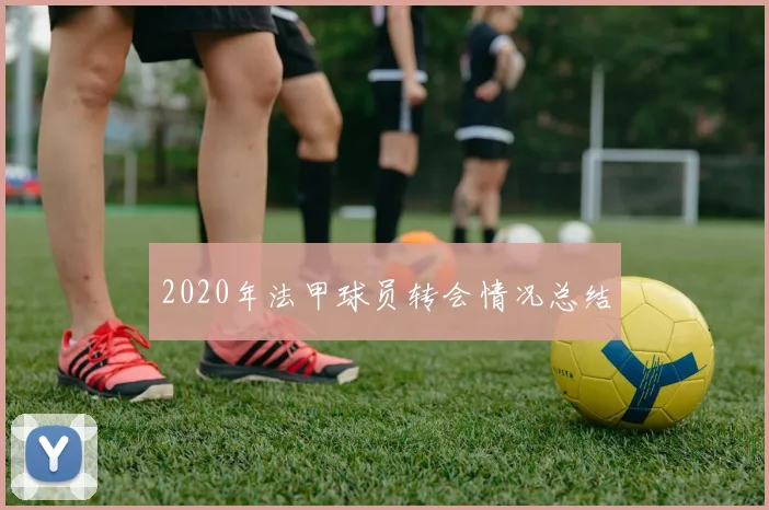 2020年法甲球员转会情况总结