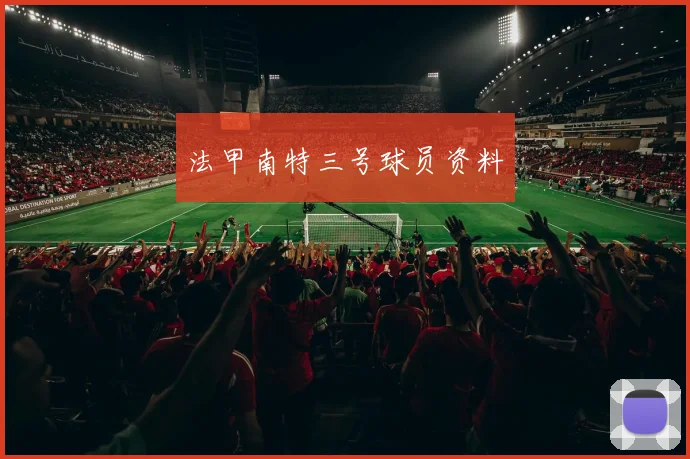 法甲南特三号球员资料