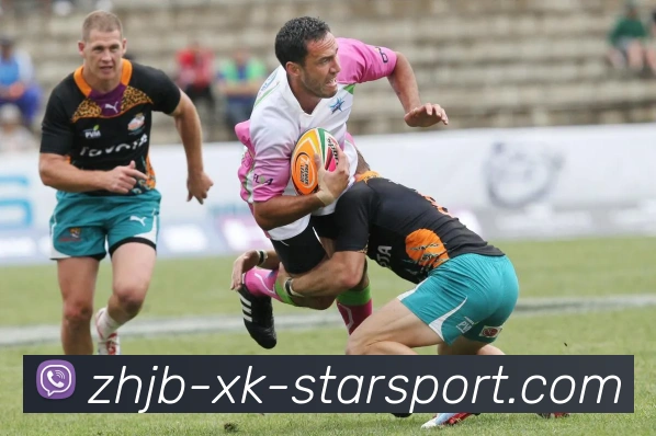 星空体育APP 高清赛事图