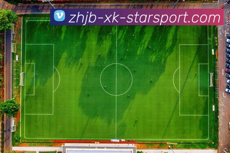 数据防护可视化